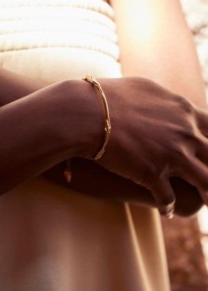 Náramky Polene Eroz Bangle Zlaté | CZ B9852E